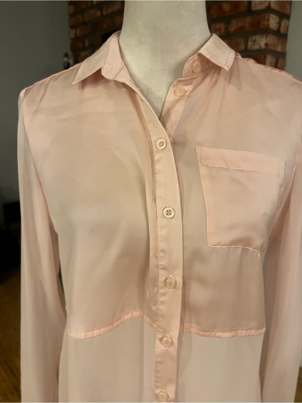 Free People ptp 19 Pink Sheer Button-Down Blouse - Picture 2 of 7
